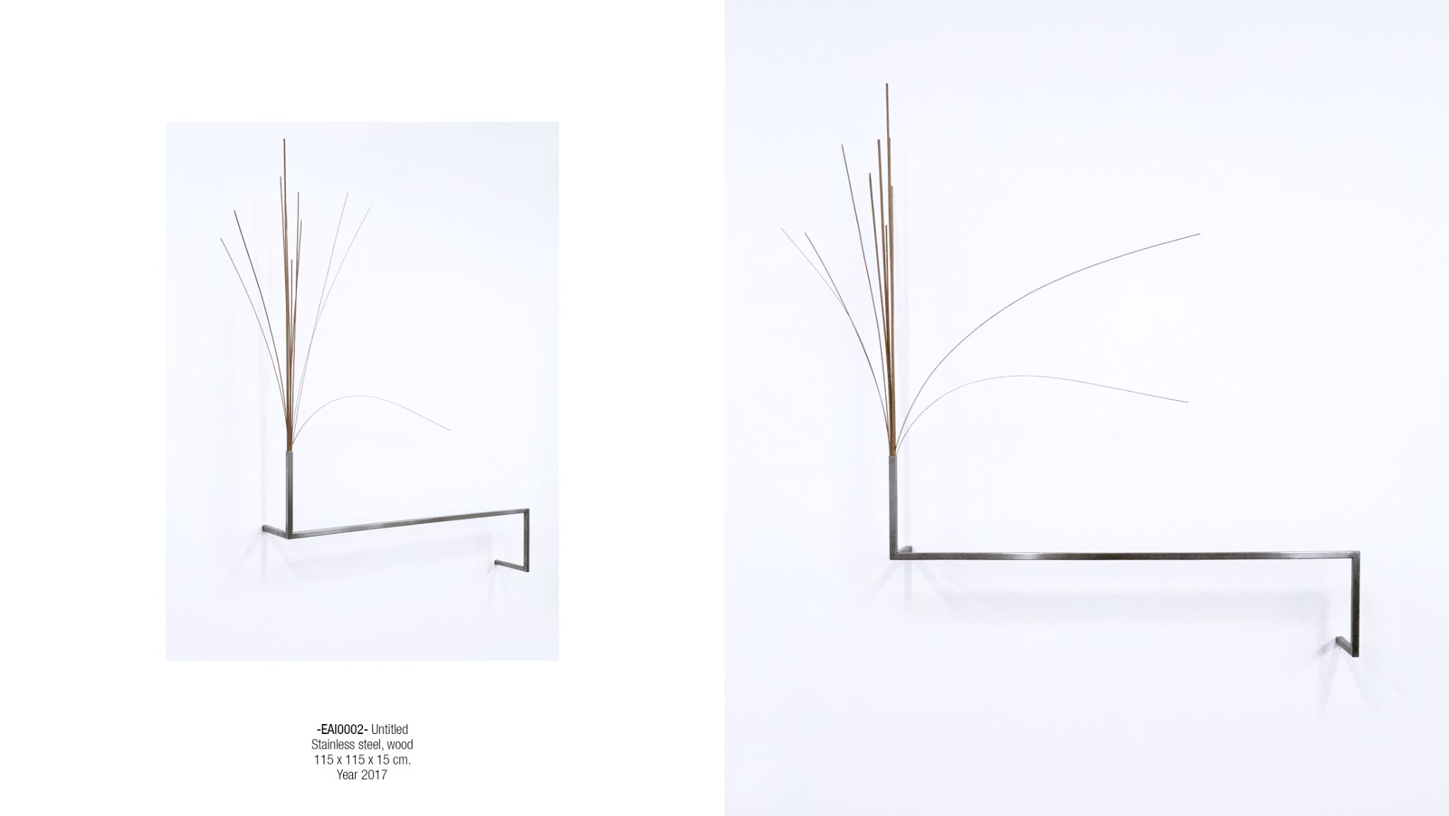 2025 DM port.para web. P63